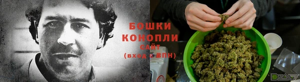 трава Инта