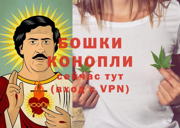 ешки Иннополис