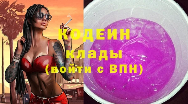 трава Инта