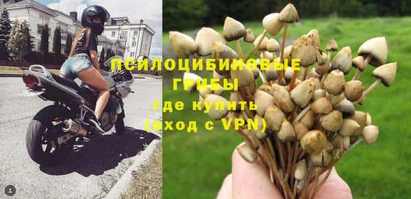 ешки Иннополис