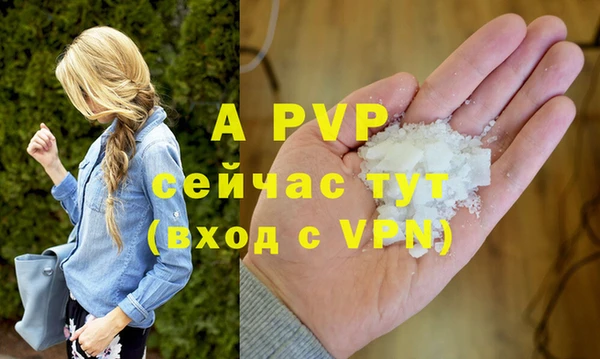 ешки Иннополис