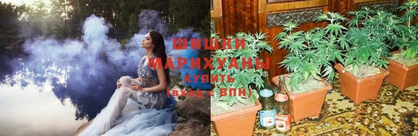 ALPHA PVP Инсар