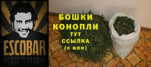 ешки Иннополис