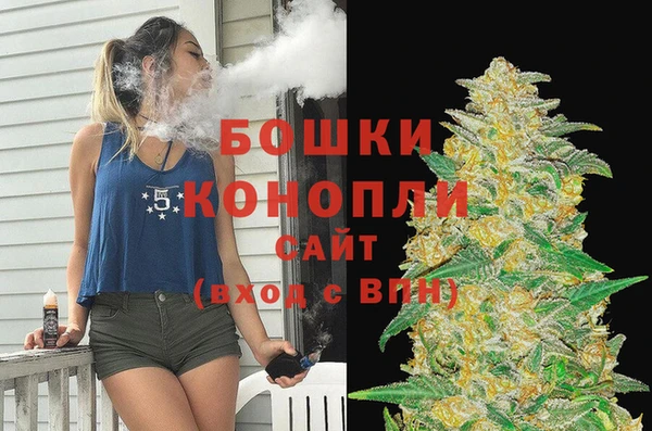 трава Инта