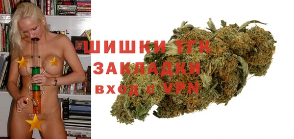 трава Инта