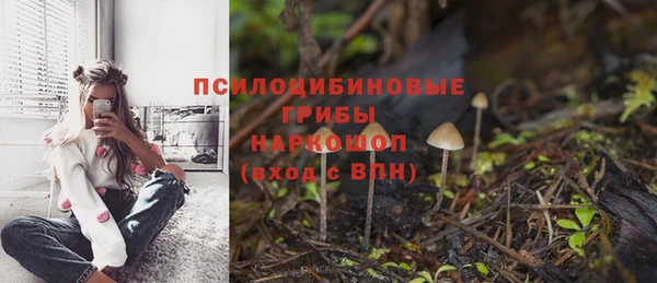 трава Инта