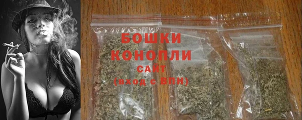 трава Инта
