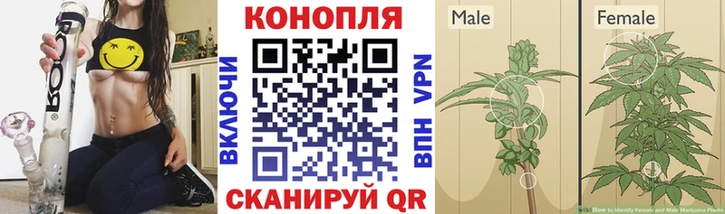 МАРИХУАНА Bruce Banner Купить где Жирновск